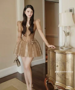 Pass đầm nâu Chou tay bồng