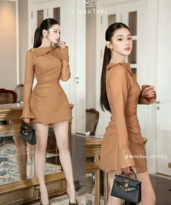 Pass Váy Nâu Chou Tay Dài