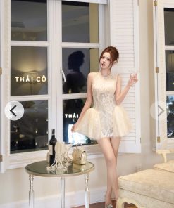 Pass đầm tiệc Trân Ali (chưa mặc)